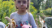 Волонтеры нашли потерявшуюся пятилетнюю девочку у леса в Нижегородской области